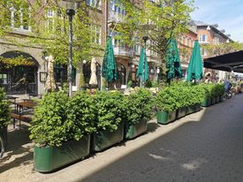 Hvad er CO2-neutralitet – Hvordan opnås det